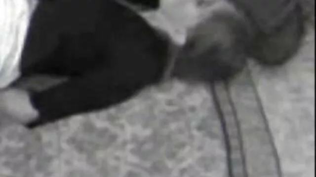 Pornografia sensual sem registo.  Os jovens adoram o amor videos caseiro casada no quarto