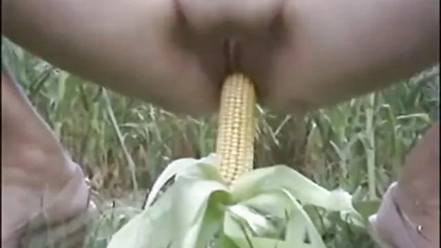 Pornografia sensual sem registo.  O irmão espiava melhor site porno caseiro a irmã.